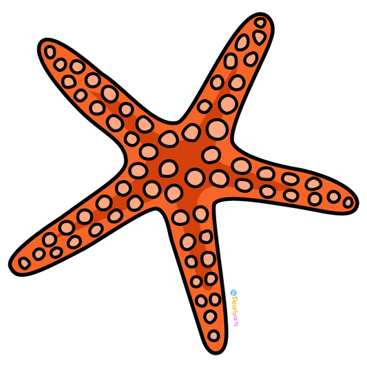 Starfish Sponsor - Super Dolphin Day